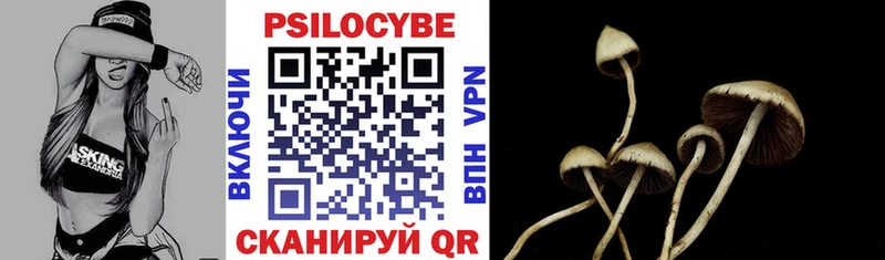 Псилоцибиновые грибы GOLDEN TEACHER  ОМГ ОМГ сайт  Отрадная  где купить наркотик 